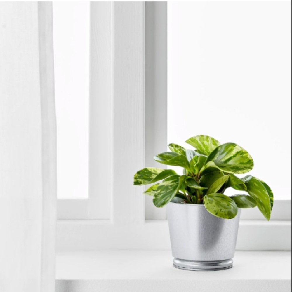Ikea// metal planter